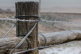 Hoar Frost, Leading Lines, Black Hills Photography