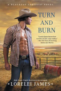 ebook erotica review lady porn cowboy