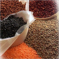 Pulses Trade Steady In Spot Markets On Friday