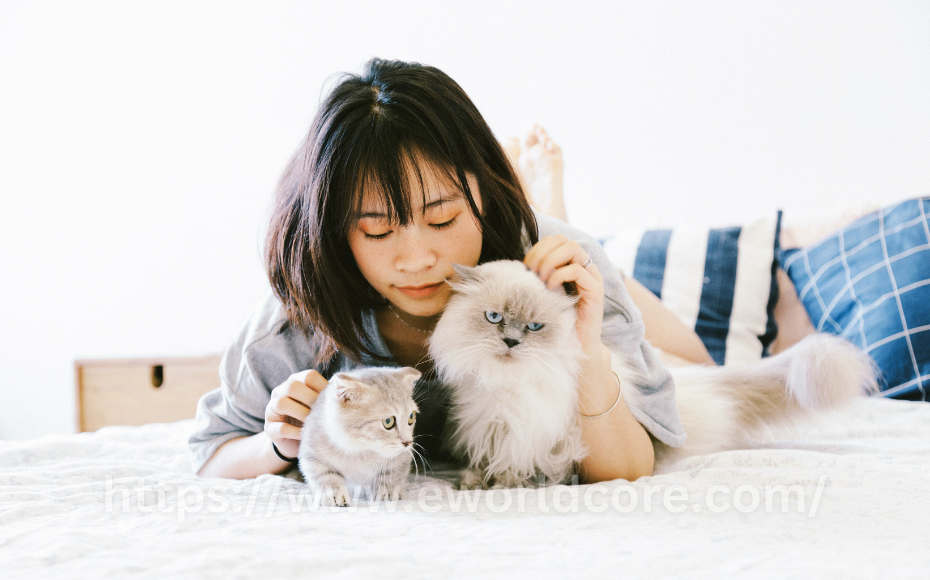 Why Cats Make Great Pets: A Comprehensive Look at the Benefits Of Having A Cat At Home