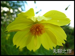 Picture 036
