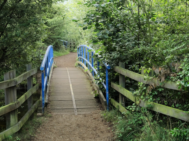 Path leading over one bridge onto second with encroaching vegetation