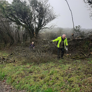 Grandad is dragging a large bit of tree out of the hedge, there's a grandson behind him, sorting out other bits of felled wood.