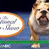 National Dog Show 2021 Live Stream Online
