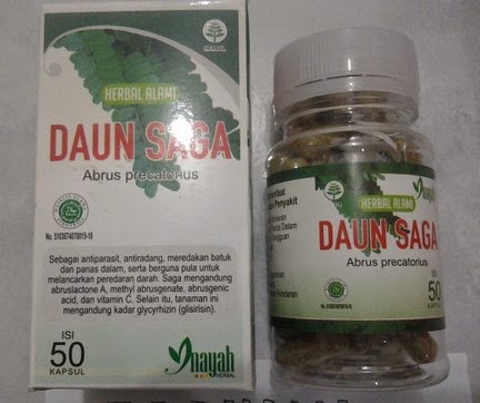 Khasiat Daun Alami