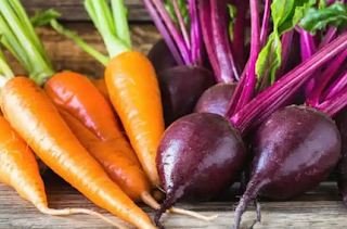 fresh , finely grated beets and carrots, a worming aid for dogs