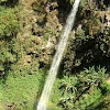 Air Terjun Jarakan