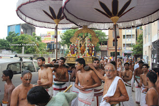 Ammavasai,Vaigasi, Purappadu,Video, Divya Prabhandam,Sri Parthasarathy Perumal, Triplicane,Thiruvallikeni,Utsavam,