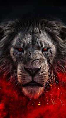 Lion Face Mobile Wallpaper is a free high resolution image for iPhone smartphone and mobile phone.
