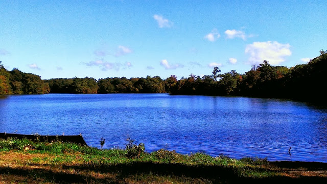 water at roger williams park