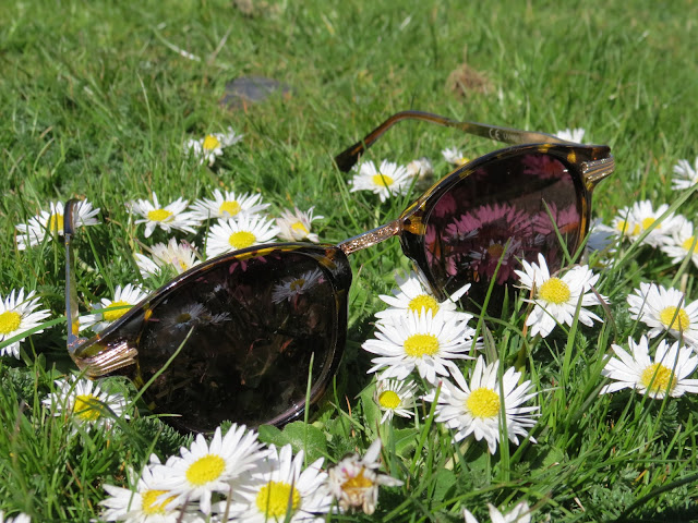 Cambridge daisy field sunglasses