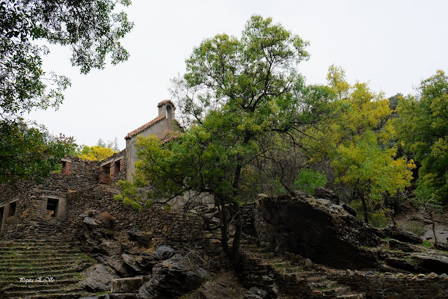 Ermita del Horcajo del Camarate, Dehesa del Camarate,  Camarate, Bosque encantado,  Lugros