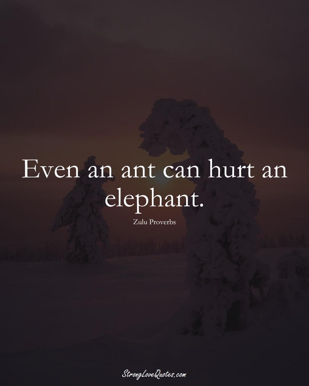 Even an ant can hurt an elephant. (Zulu Sayings);  #aVarietyofCulturesSayings
