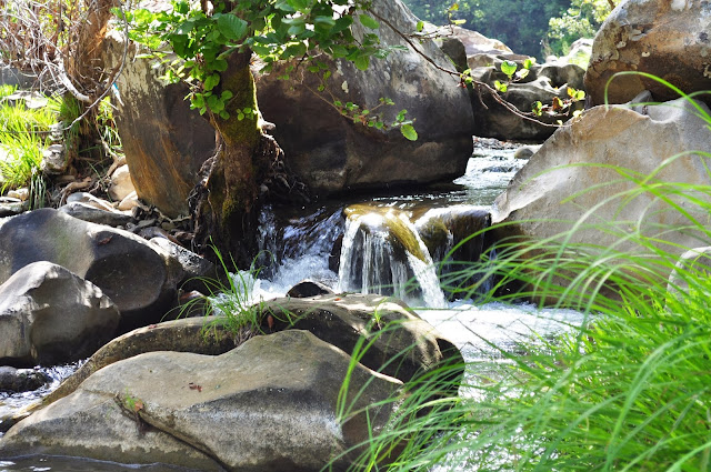 jijel nature