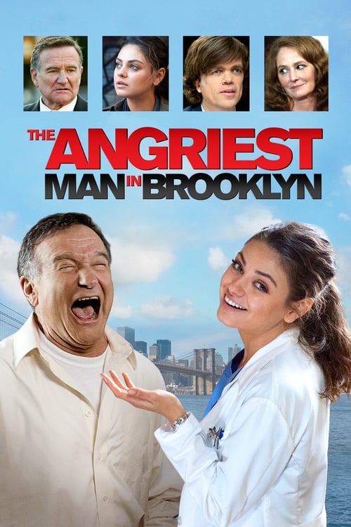 Download The Angriest Man in Brooklyn 2014 Full Movie With English Subtitles