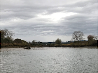 water with tidal land around it. 