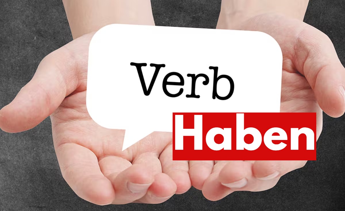 Verb -haben -conjugated - Present -Tense ​- Präsens