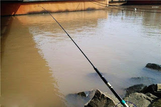 fishing in turbid water