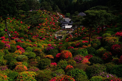 塩船観音寺