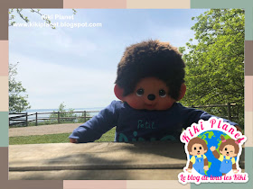 kiki Monchhichi chien berger australien Le Havre foret plage