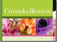 temp_canadablooms