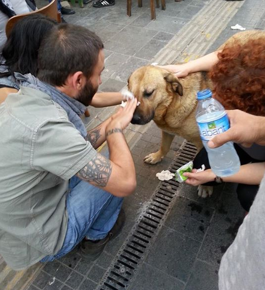 Η φωτογραφία από την Τουρκία που κάνει το γύρο του κόσμου