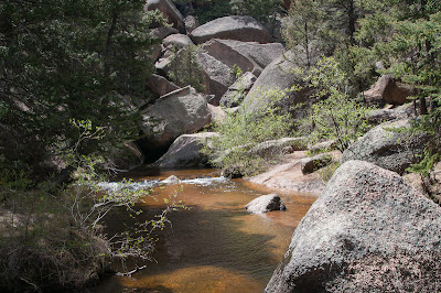 Goose Creek Trail, Lost Creek Wilderness