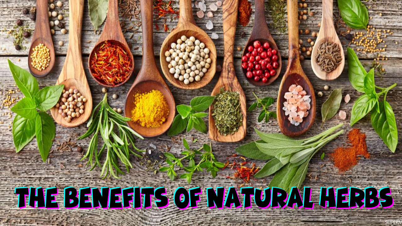 Unlocking the Healing Power of Natural Herbs: Harnessing the Benefits for Better Health and Wellness.