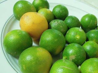 Calamansi Fruit Pictures