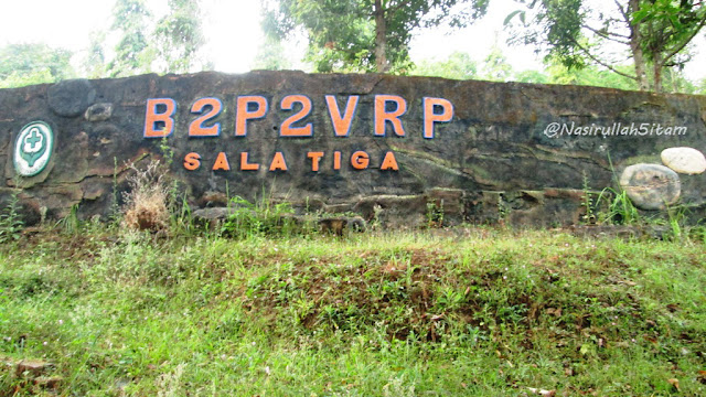 Tulisan di B2P2VRP Salatiga