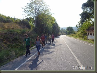 P1110391_1[1]