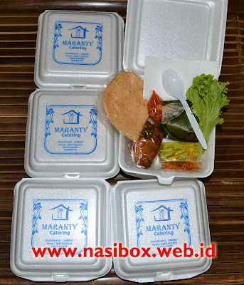 Nasi box Bandung