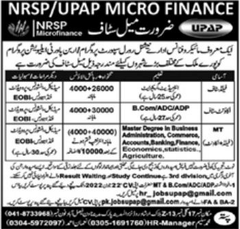 Management Jobs in NRSP UPAP Microfinance Organization