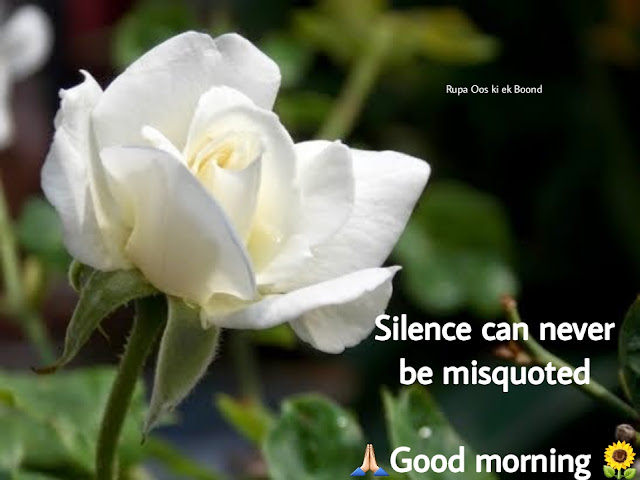 20 Beautiful & Positive Inspirational Good morning Quotes, Wishes and Messages