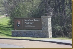 IMG_4928 IMG_4928