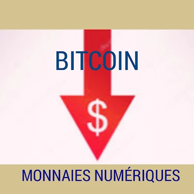 Le Bitcoin bientôt atteindra zéro et certains pays européens prisent  des décisions sur les monnaies numériques