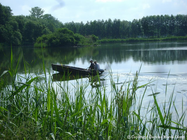 Pustelnia koło Opola Lubelskiego stawy gospodarstwa rybackiego. Fot. Dariusz Marek Gierej