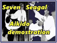 video-steven-seagal-aikido