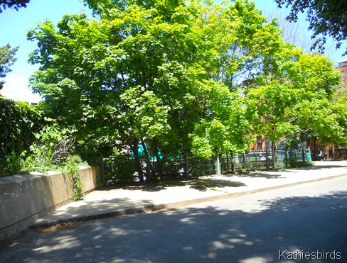 18. February house-kab
