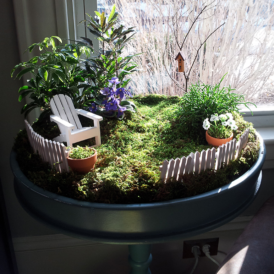 Everyday Magic - A Little Lair®: Create Your Own Indoor Fairy Garden.