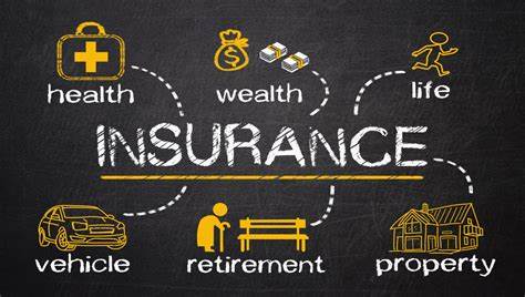 What are the different kinds of insurance