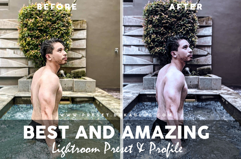 Before After Using Best Amazing Lightroom Profile and Preset