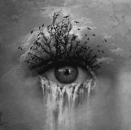 vision