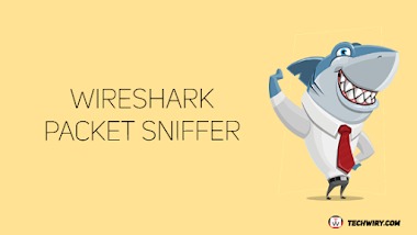 Wireshark Packet Sniffer