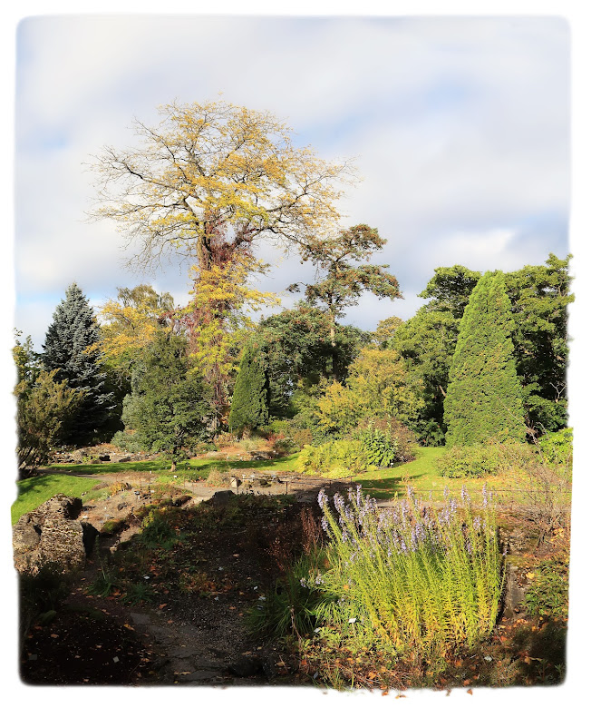 Flotte høstfarger på Skandinavisk rygg i Botanisk hage på Tøyen i Oslo.