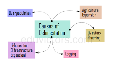 CBSE Class 8 - Science -Chapter 7 -  Conservation of Plants and Animals (Questions and Answers)(#eduvictors)(#class8Science)