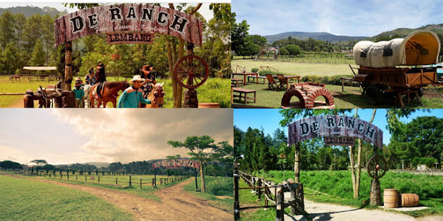 Wisata Berkuda D'Ranch Lembang Bandung Bara