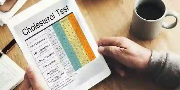 Cholesterol | കോശങ്ങളുടെ ആരോഗ്യത്തിനും ഹോർമോൺ പ്രവർത്തനത്തിനും വേണം കൊളസ്‌ട്രോൾ; ചില കാര്യങ്ങൾ ശ്രദ്ധിക്കാനുണ്ട്!