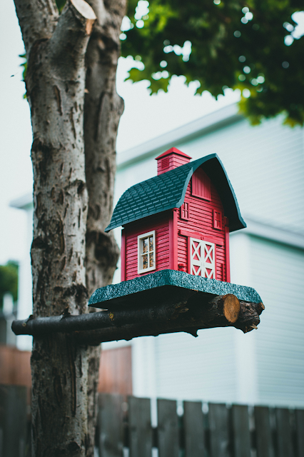 A birdhouse attached to a tree near a wooden fence.
