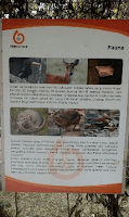 Penangkaran Rusa